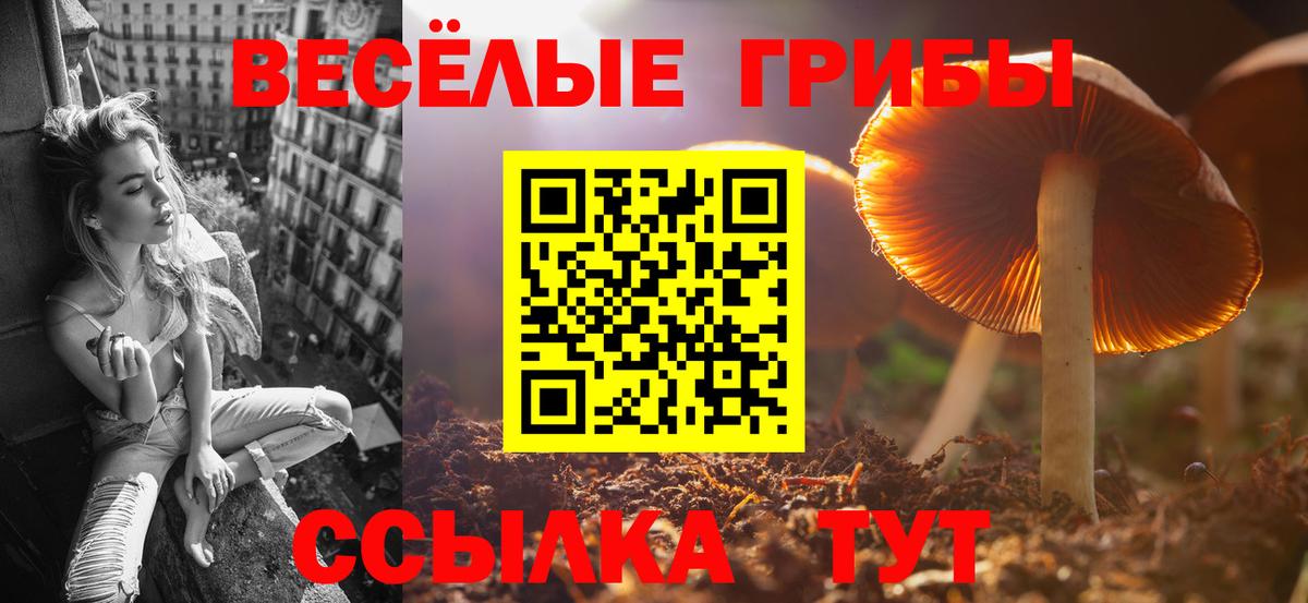 Псилоцибиновые грибы прущие грибы  Вход с VPN  Жигулёвск 